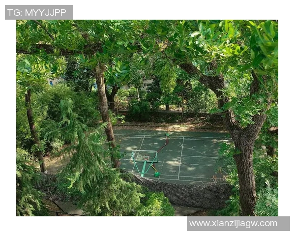 篮球新手必看心理素质提升策略助你快速融入球场氛围