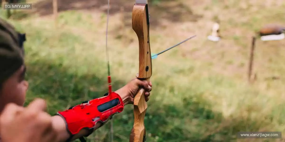 独家视角，让热爱零距离！📺✨